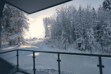 Dom i ogród  | Willa Lux Wolf