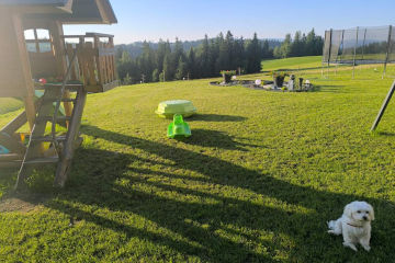 Dom i ogród  | Willa Lux Wolf