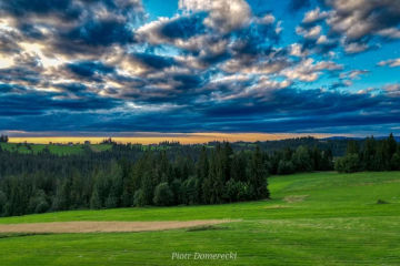 Dom i ogród  | Willa Lux Wolf