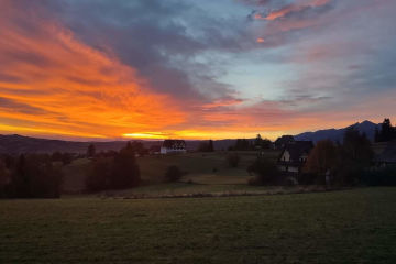 Dom i ogród  | Willa Lux Wolf