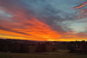 Dom i ogród  | Willa Lux Wolf