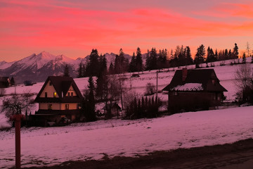 Dom i ogród  | Willa Lux Wolf