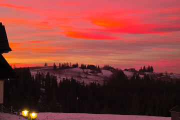 Dom i ogród  | Willa Lux Wolf