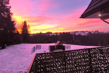 Dom i ogród  | Willa Lux Wolf