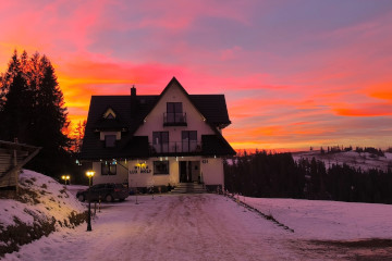 Dom i ogród  | Willa Lux Wolf