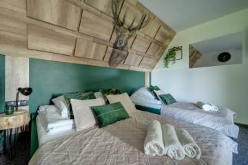 Apartament 2 | Willa Lux Wolf